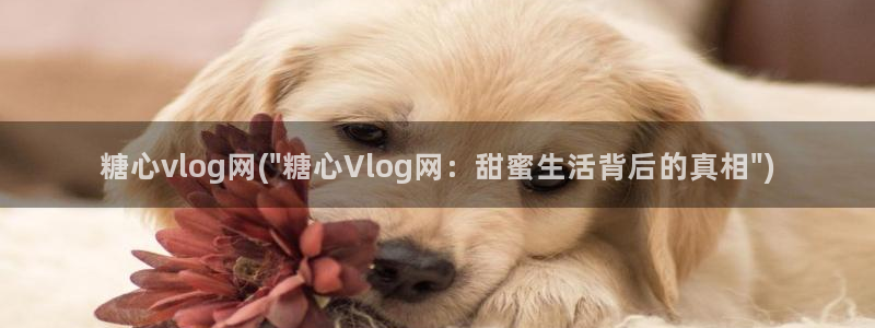 糖心vlog入口官网：糖心vlog网(\