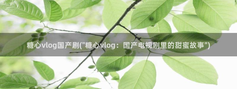 糖心vlog老板：糖心vlog国产剧(\