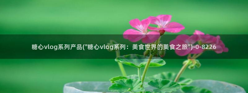 小晗糖心vlog：糖心vlog系列产品(