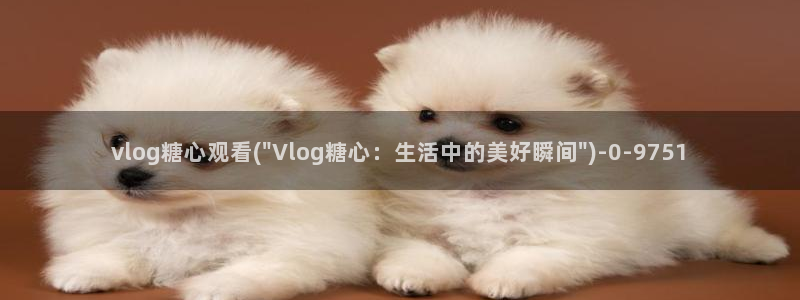糖心vlog3.1破解：vlog糖心观看(\