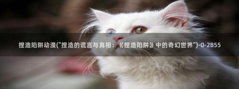 动漫形象