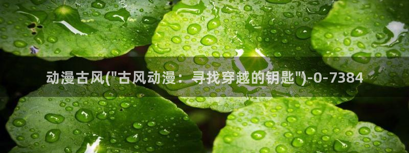 动漫二次元