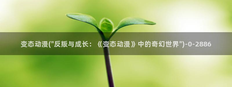 动漫美食